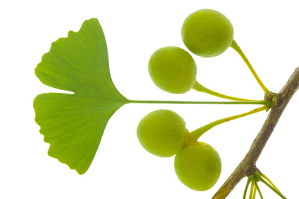 Fotolia_44103238_XS.jpg Fotolia_44103238_XS.jpg